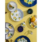 Лимонница Доляна «Лимон», 9×9 см - Фото 7