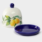 Лимонница Доляна «Лимон», 9×9 см - Фото 3