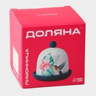 Лимонница Доляна «Лимон», 9×9 см - Фото 10