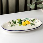 Блюдо овальное Доляна «Лимон», 28×14,5 см, цвет белый - Фото 2