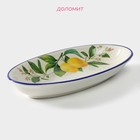 Блюдо овальное Доляна «Лимон», 28×14.5 см, цвет белый - Фото 2