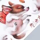 Наклейка интерьерная цветная «Пёсики с крыльями бабочек», 30×83 см - фото 60801762