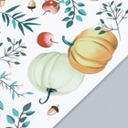 Наклейка интерьерная цветная «Тыквы и яблоки», набор 2 листа, 30×40 см 7599470 - фото 16496805