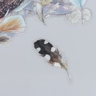 Наклейки для творчества "Пёрышки" набор 40 шт 12х9 см - фото 24636142