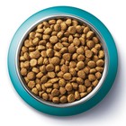 Сухой корм Purinа One для домашних кошек, индейка/злаки, 3 кг - фото 7223215