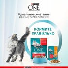Сухой корм Purinа One для стерилизованных кошек, говядина/пшеница,3 кг - Фото 5