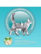 Сухой корм Purina One для стерилизованных кошек, говядина/пшеница,3 кг - Фото 5