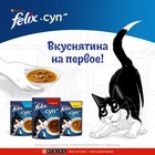 Влажный корм Felix Суп с говядиной, для кошек, 48 г - Фото 4