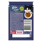 Влажный корм Felix Суп с курицей, для кошек, 48 г - Фото 2