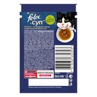 Влажный корм FELIX Суп с треской, для кошек, 48 г - Фото 2