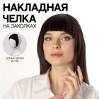 Чёлка накладная, на заколке, 25 см, 25 гр, цвет тёмно-русый(SHT12С) 7351825 - фото 14498893