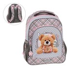 Рюкзак школьный Erich Krause ErgoLine 15L, 39 х 28 х 14 см, эргономичная спинка, Teddy Bear 52604 7818553 - фото 9295304