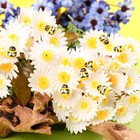 Декор флористический «Пчёлы», 30 шт., 12 х 9 мм - фото 9698639
