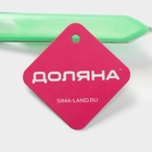 Сито для просеивания с ручкой Доляна «Хозяюшка», d=10 см, зелёное - Фото 11