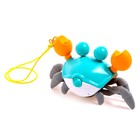 Каталка на верёвке «Краб», водоплавающая, цвет бирюзовый - фото 30309118