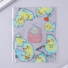 Обложка для тетрадей и школьного дневника «Птичности»,34,7 х 21,1 см (комплект 5 шт) - фото 21569994