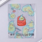 Обложка для тетрадей и школьного дневника «Птичности»,34,7 х 21,1 см (комплект 5 шт) - фото 21569995