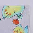 Обложка для тетрадей и школьного дневника «Птичности»,34,7 х 21,1 см (комплект 5 шт) - фото 21569996