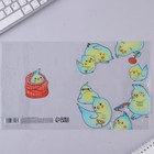 Обложка для тетрадей и школьного дневника «Птичности»,34,7 х 21,1 см (комплект 5 шт) - фото 21569997