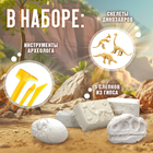 Раскопки «Эра динозавров» - Фото 2