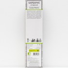 Барбарис оттавский «Силвэ Майлс», саженец, 1 шт., туба - Фото 3