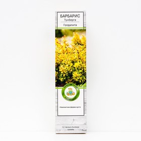 Барбарис Тунберга 