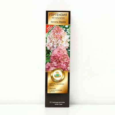 Гортензия метельчатая Люкс «Ваниль Фрайз» , саженец декоративный, цветущий, 1 шт., туба