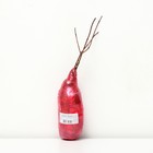 Гортензия метельчатая Люкс «Ваниль Фрайз» , саженец декоративный, цветущий, 1 шт., туба - Фото 2