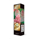 Гортензия метельчатая Люкс «Ваниль Фрайз» , саженец декоративный, цветущий, 1 шт., туба - Фото 3