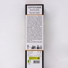 Гортензия метельчатая Люкс «Пастель Грин» саженец декоративный, цветущий, 1 шт., туба - Фото 2