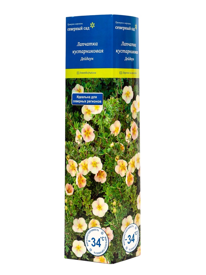 Лапчатка кустарниковая (Серия Северный сад) «Дейдаун» 1 шт., туба - Фото 1