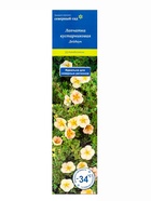 Лапчатка кустарниковая (Серия Северный сад) «Дейдаун» 1 шт., туба - Фото 2