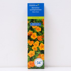 Лапчатка кустарниковая (Серия Северный сад) "Манго Танго" 1 шт, туба, Весна 2024 7862767