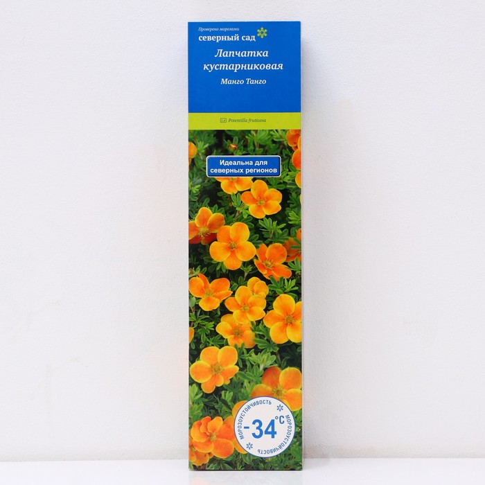 Лапчатка кустарниковая (Серия Северный сад) "Манго Танго" 1 шт, туба, Весна 2024 - Фото 1