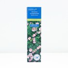 Лапчатка кустарниковая "Претти Полли", туба, 1 шт, Весна 2025 - Фото 1