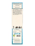 Лапчатка кустарниковая (Серия Северный сад) «Эбботсвуд» саженец, декоративный, цветущий, 1 шт., туба - Фото 3