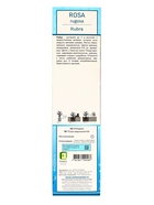 Роза морщинистая (Серия Северный сад) "Рубра" 1 шт, туба, Весна 2025 - Фото 3