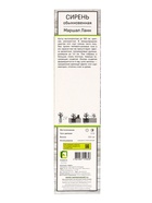 Сирень обыкновенная «Маршал Ланн» 1 шт., туба - Фото 3