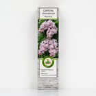 Сирень обыкновенная "Монтень" 1 шт, туба, Весна 2024  (артикул 7862789)  большой выбор товаров оптом и в розницу по низким ценам с доставкой