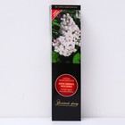 Сирень обыкновенная "Красавица Москвы" 1 шт, туба, Весна 2025 - Фото 1