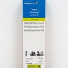 Спирея японская (Серия Северный сад) "Голдмаунд" 1 шт, туба, Весна 2024 7862854 - фото 8291416