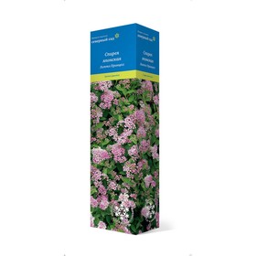 Спирея японская  "Литтл Принцесс", туба, 1 шт, Весна 2024 7862859