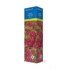 Спирея японская (Серия Северный сад) "Манон" 1 шт, туба, Весна 2023 7862861 - фото 8291426