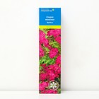 Спирея японская (Серия Северный сад) «Фробели» 1 шт., туба - Фото 1