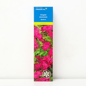 Спирея японская (Серия Северный сад) "Фробели" 1 шт, туба, Весна 2025 7862863