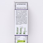 Клематис крупноцветковый «Варшавска Найк» лиана, 1 шт., туба - Фото 2