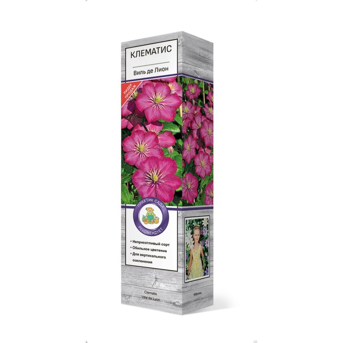 Клематис крупноцветковый "Виль де Лион" 1 шт, туба, Весна 2025 - Фото 1