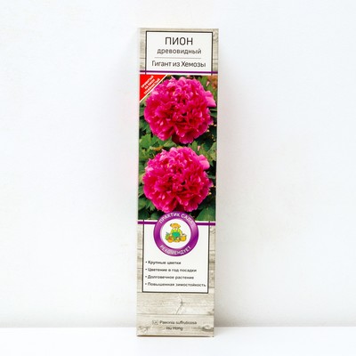 Пион древовидный Гигант из Хемозы 1 шт., туба, Весна 2026
