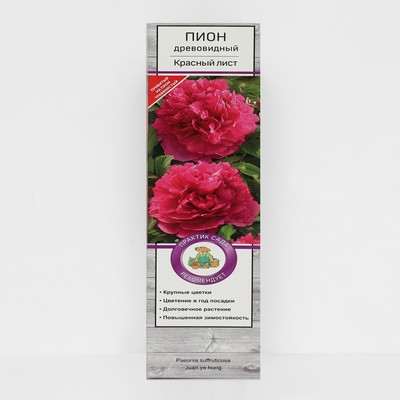 Пион древовидный Красный лист 1 шт., туба, Весна 2026