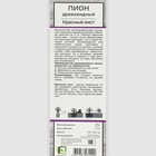 Пион древовидный (привитый на травянистый) "Красный лист" 1 шт, туба, Весна 2025 - Фото 2